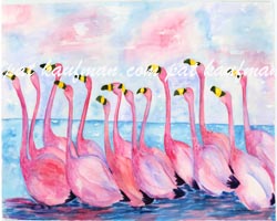 cottages and beach living paintings Flamingoes Congo Line web
