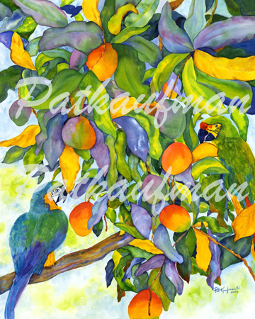 fruit and wines paintings Parrots and Mangoes