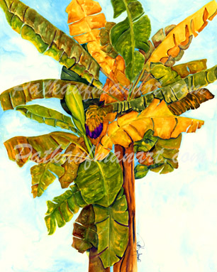 tropical gardens and flora paintings Bananas Bananas